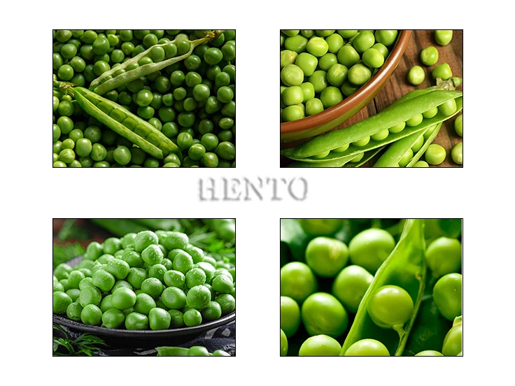 Broad Bean Peeling Machine Broad Bean Peeling Machine